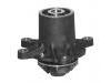 Water Pump:617 200 05 20