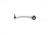 Control Arm:1041570-00-A