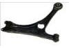 Brazo de suspensión Control Arm:J692909010