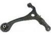 Control Arm:51350SEPA00