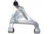 Bras de liaison Control Arm:55502-9Y000