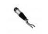 Shock Absorber:1027361-00-G