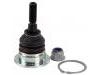 Ball Joint:RBK500170