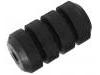 Suspension Bushing:363 891 02 23