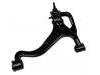 Control Arm:RBJ 500193