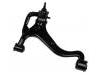 Control Arm:RBJ 500183