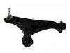 Control Arm:RBJ 500232