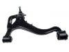 Control Arm:RBJ501370